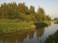 NL, Noord-Brabant, Waalwijk, De Dullaard 17, Saxifraga-Jan van der Straaten